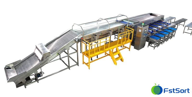 images/1695720527575cherry tomato sorting grading machine.jpg